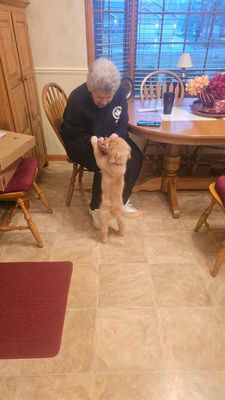 Liz would never spoil our dog