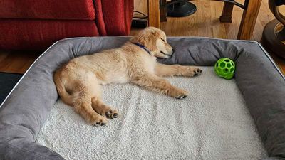 20241224_160720_01.jpg