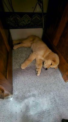 She found a place