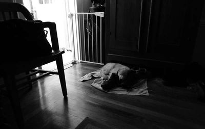 2024 Dec boot nap
