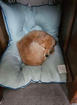 Resting place