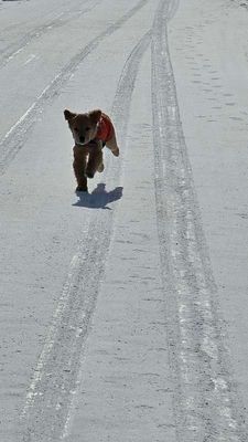 20250120_122746_02.jpg