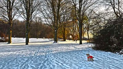 20250114_162213_03.jpg