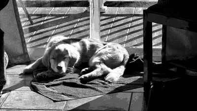 20250221_155643bw_39.jpg