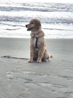 Beach 0_51.jpg