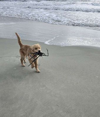 Beach 1_52.jpg