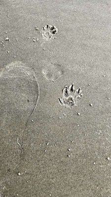 Beach 2_53.jpg