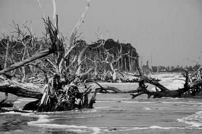 DSC01393bw_56.jpg