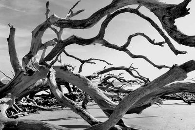 DSC01399bw_58.jpg