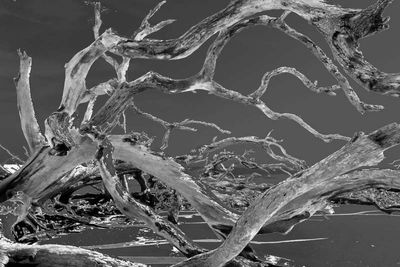 DSC01399psbw_59.jpg
