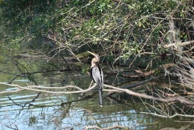 DSCF0593_65.jpg