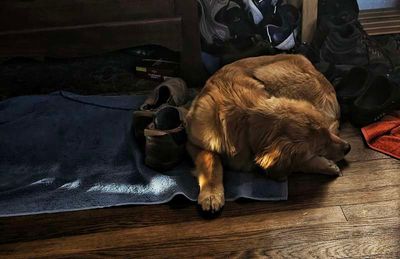 sunrise boot pile