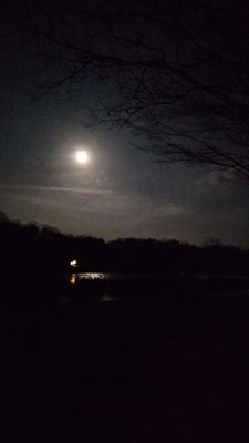 20250414_045126_004.jpg