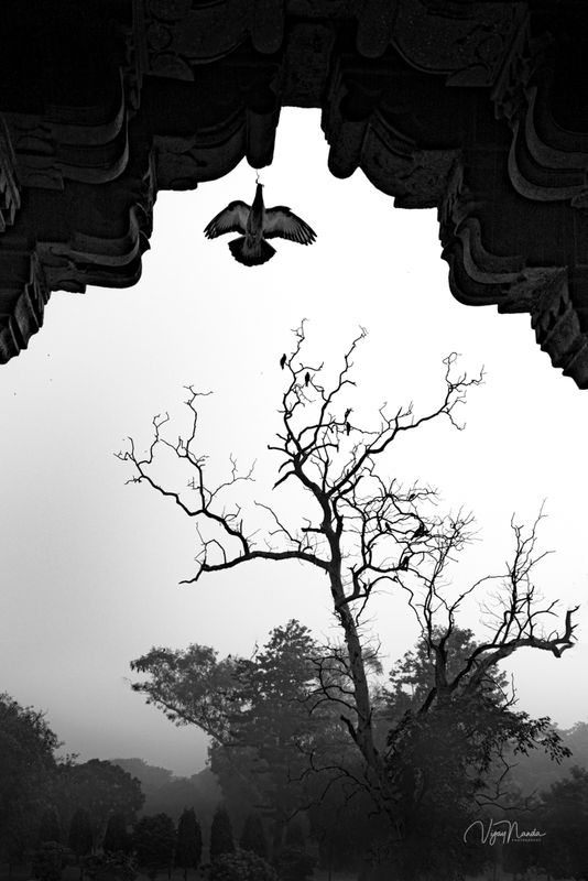 Lodhi Gardens, Delhi
