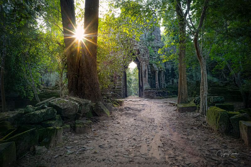Gate of the Dead