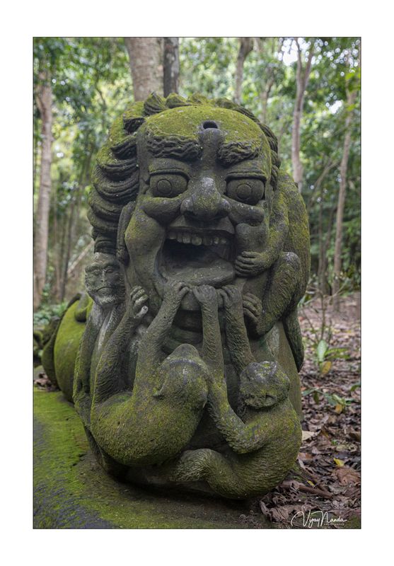 Monkey Forest, Ubud