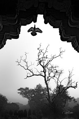 Lodhi Gardens, Delhi
