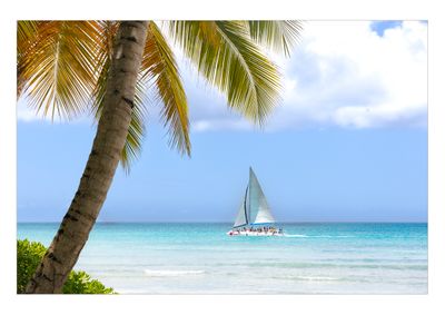 Isla Sanoa