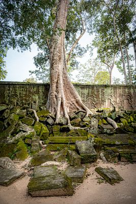 Ta Prohm Temple