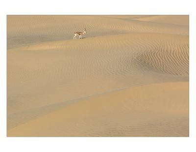 Western Rajasthan