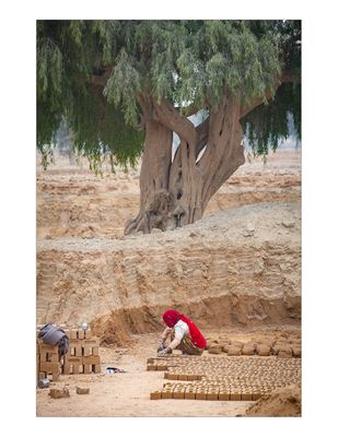 Brick maker, Rajasthan