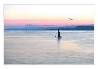 The Mediterranean