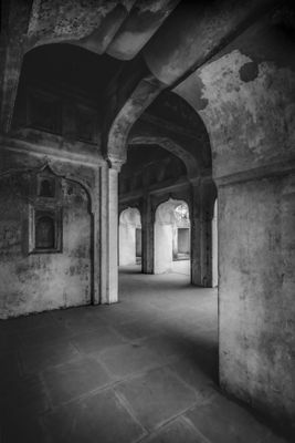 The Fort 