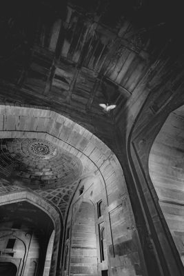 Through the Arches