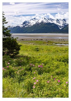 ALASKA 2024