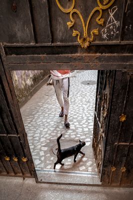    Shyam Bazar