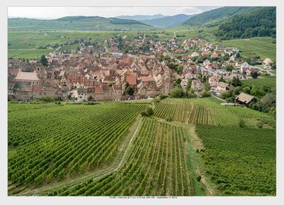 Riquewihr, Alsace