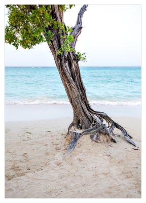 Jamaica