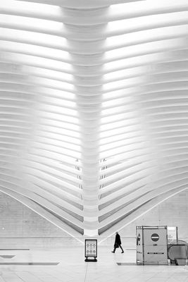 The Oculus 