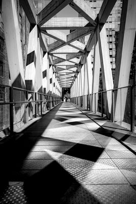 Shadows 