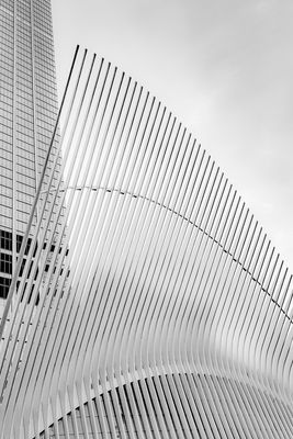The Oculus 