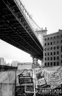 Dumbo
