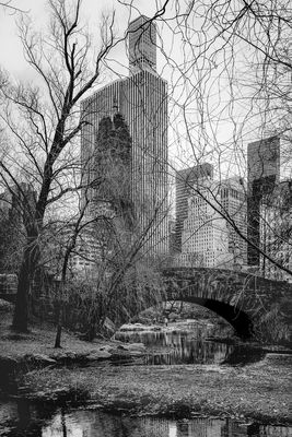 Central Park
