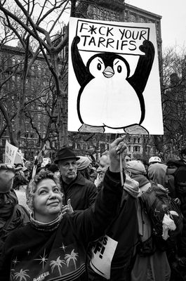 g13/90/969390/3/175355133.c9a53602.JPEG