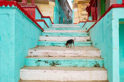 Varanasi 2018 - A photographic pilgrimage