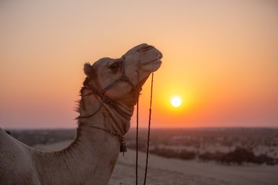 Rajasthan Unfiltered