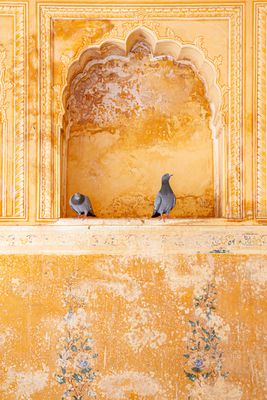 Rajasthan Unfiltered