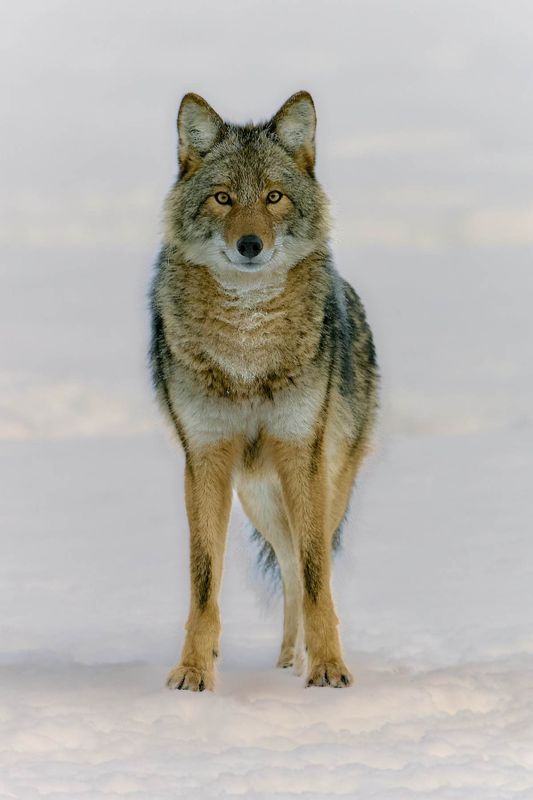 Plein regard..