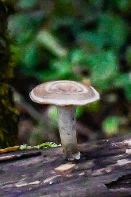 g13/91/1048091/3/175348664.79f2d631.JPEG