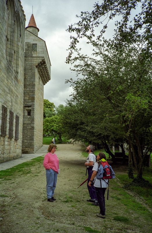 guimares002castle.jpg
