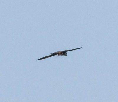 K1306739.jpg