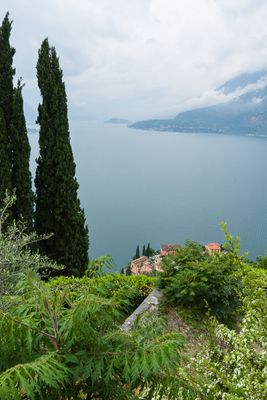 IMGP5896.jpg