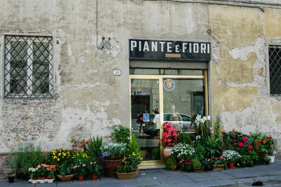 IMGP1128.jpg