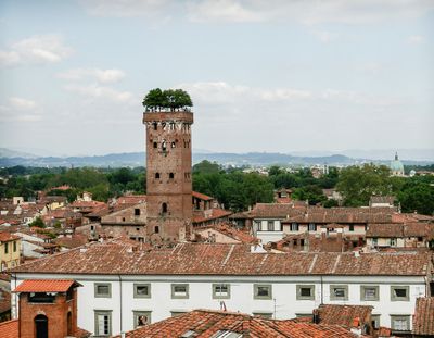 IMGP1197.jpg