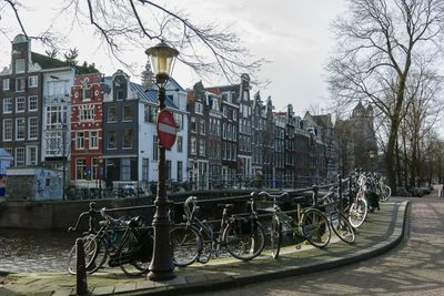 IMGP7696.jpg