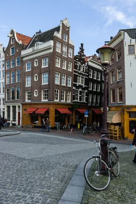 IMGP7701.jpg